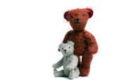 Portrait_caft2eu_wwwkatrin_aichinger_teddys_1673