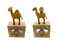 Mini_hardy_1211_camel_7422_w