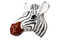 Mini_93_zebra_steinbach_www